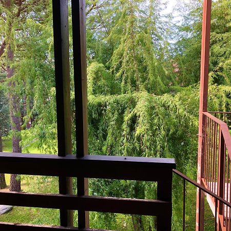 Green Apartment Albavilla 外观 照片